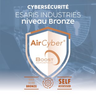 La cybersécurité chez ESARIS INDUSTRIES